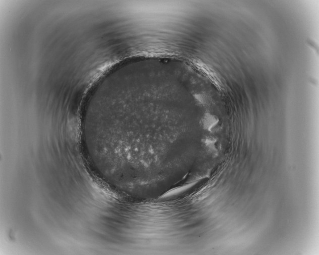 X0000095540540200712281546