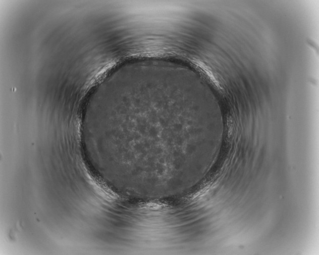 X0000095540542200712281546