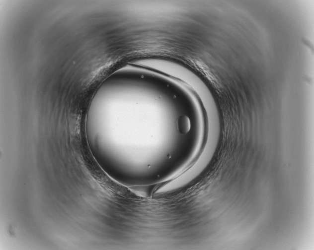 X0000095540543200712281546