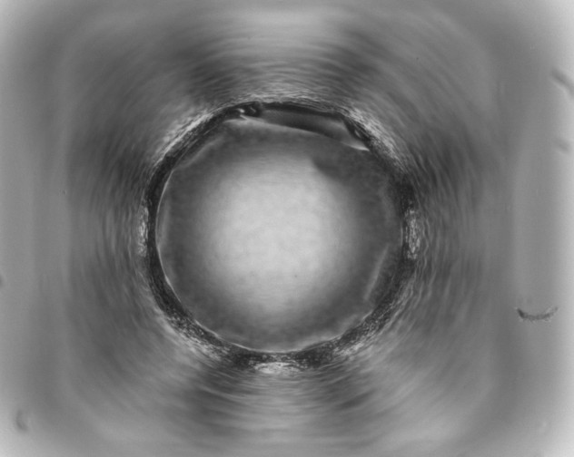 X0000095540544200712281546