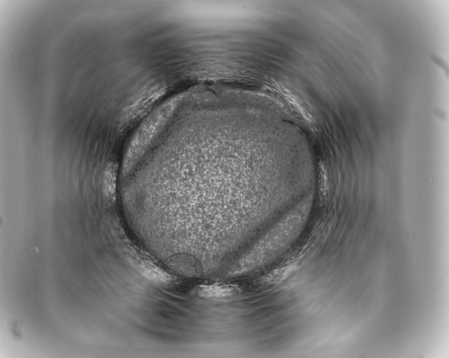 X0000095540545200712281546