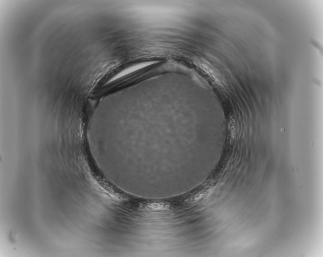 X0000095540546200712281546