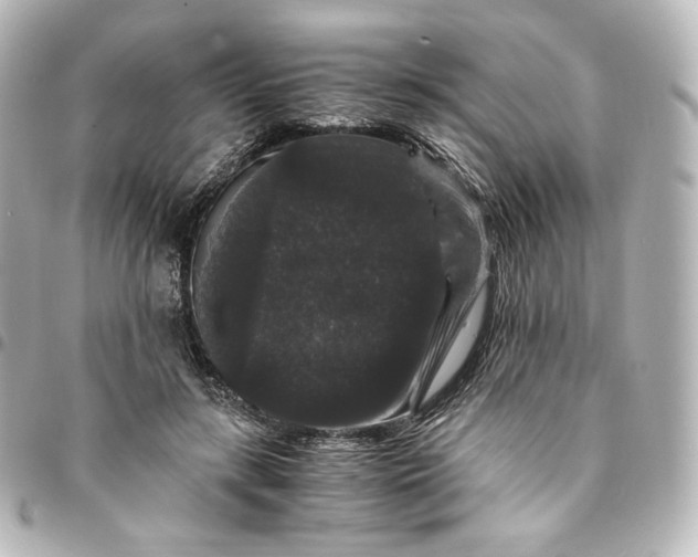 X0000095540547200712281546