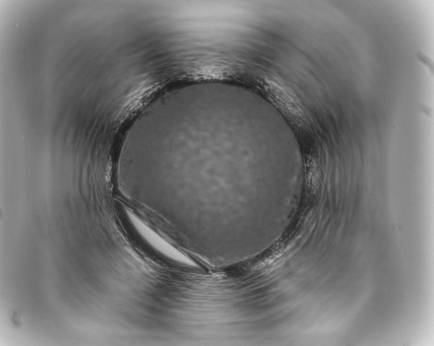 X0000095540548200712281546