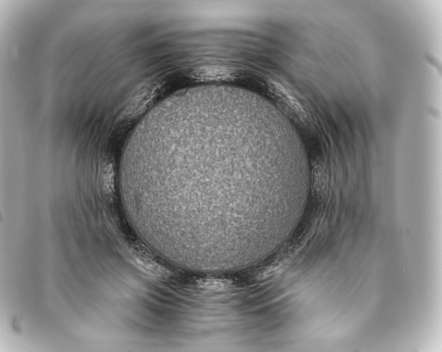 X0000095540549200712281546