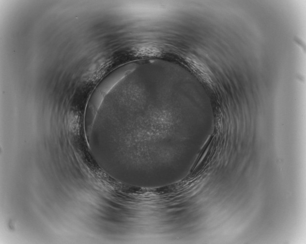 X0000095540551200712281546