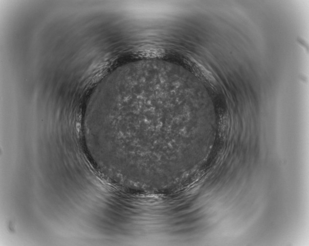 X0000095540553200712281546