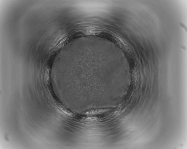 X0000095540554200712281546