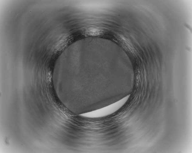 X0000095540555200712281546