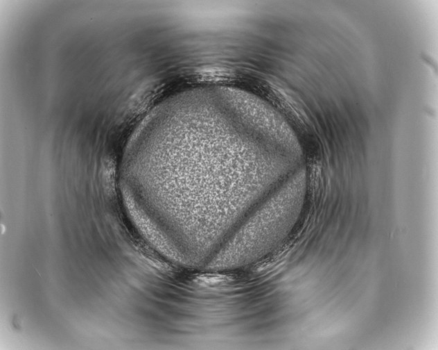 X0000095540557200712281547