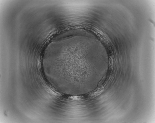 X0000095540558200712281547