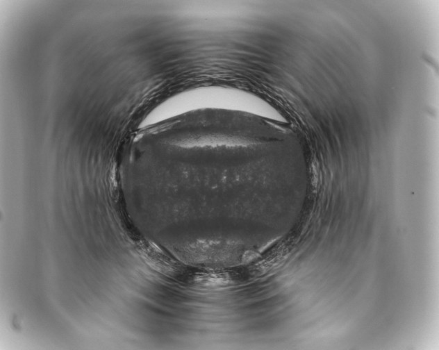 X0000095540559200712281547