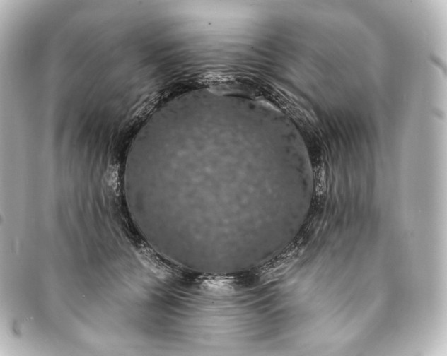 X0000095540560200712281547