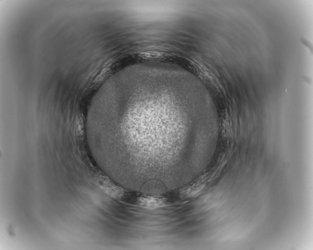 X0000095540561200712281547