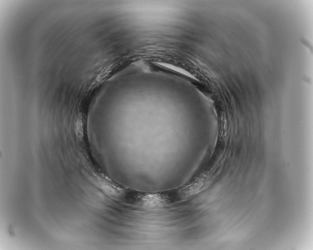 X0000095540562200712281547