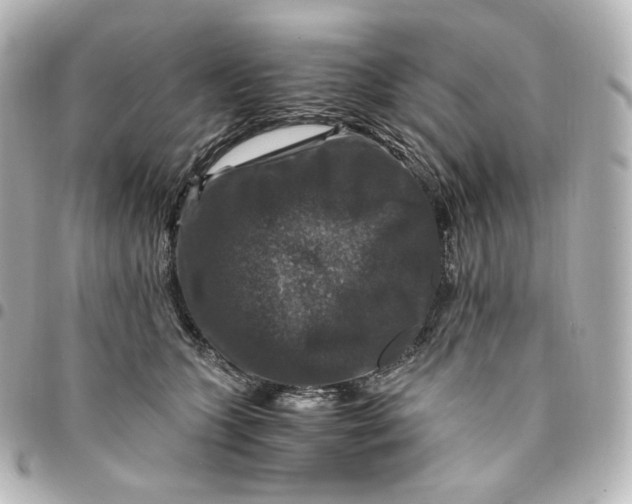 X0000095540563200712281547