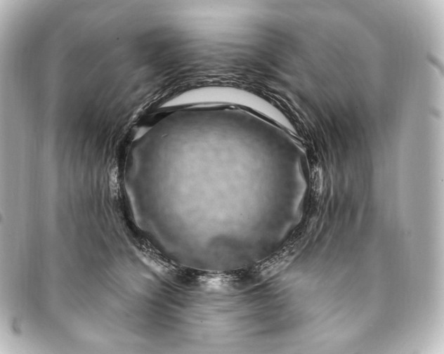 X0000095540564200712281547