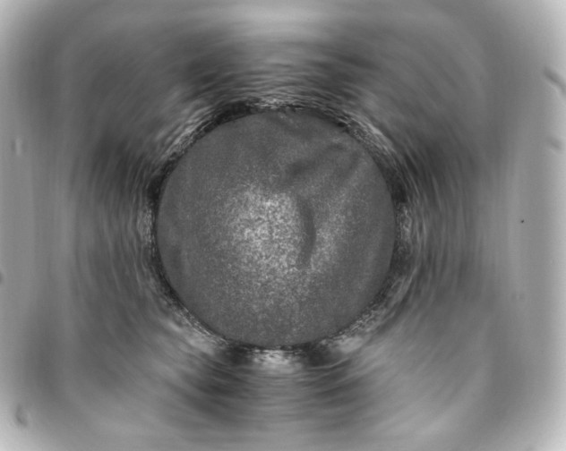 X0000095540565200712281547