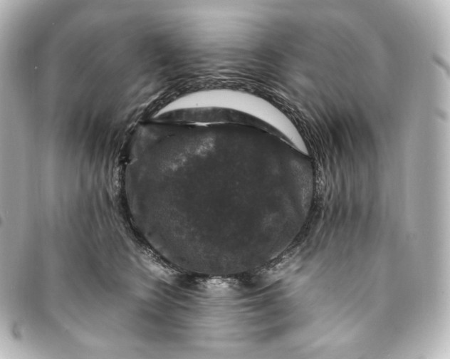 X0000095540566200712281547