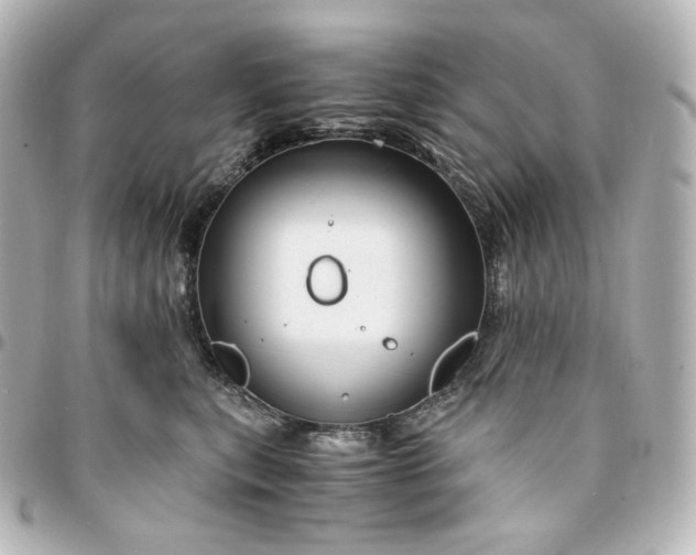 X0000095540567200712281547