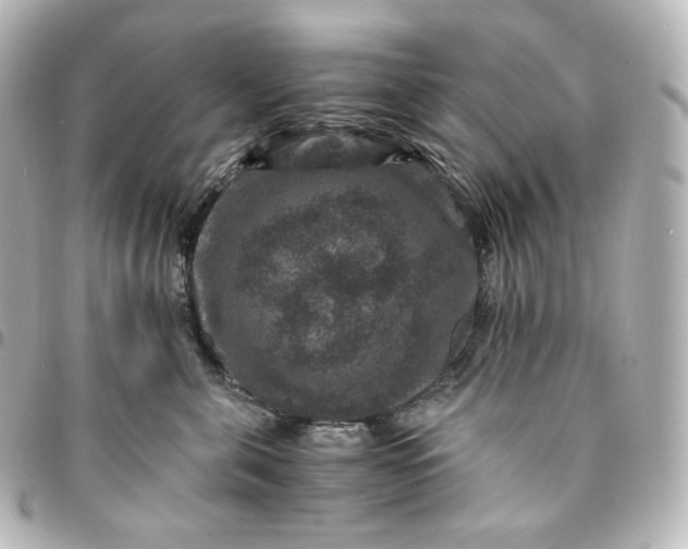 X0000095540571200712281547