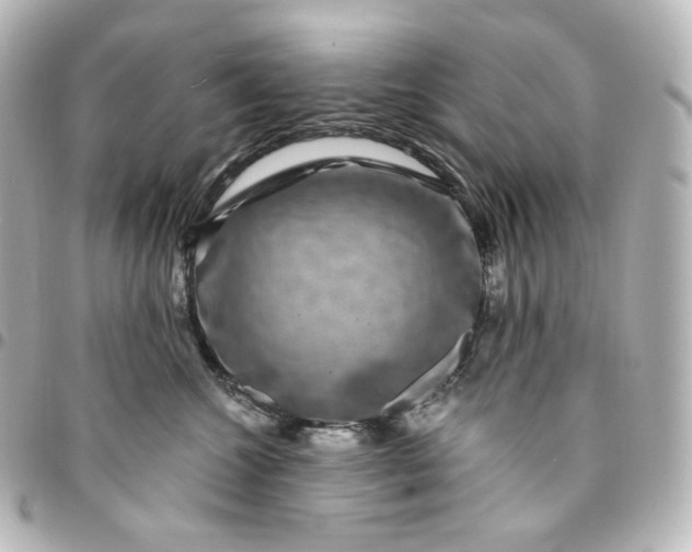 X0000095540572200712281547