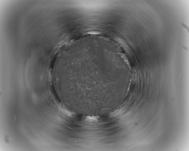 X0000095540573200712281547