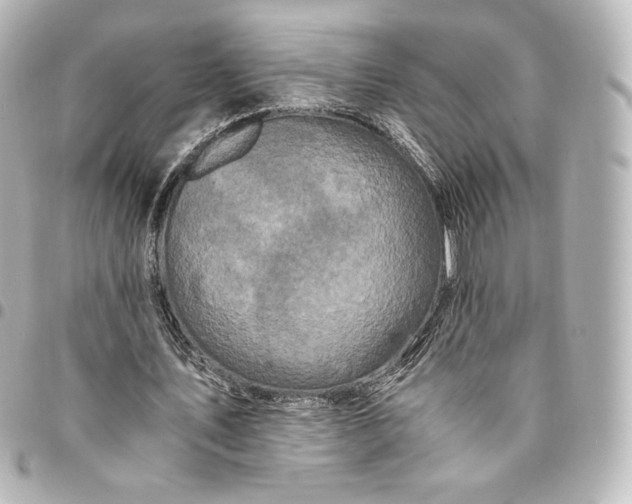 X0000095540579200712281546