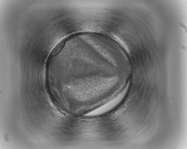 X0000095540580200712281546