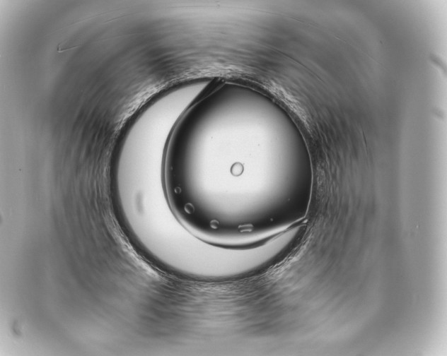 X0000095540581200712281546