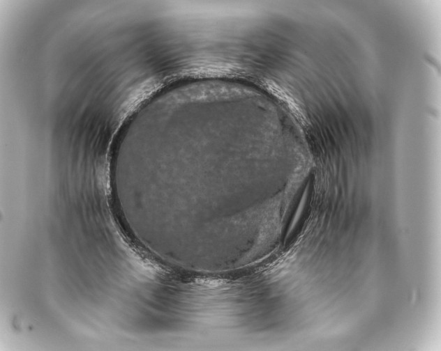 X0000095540582200712281546