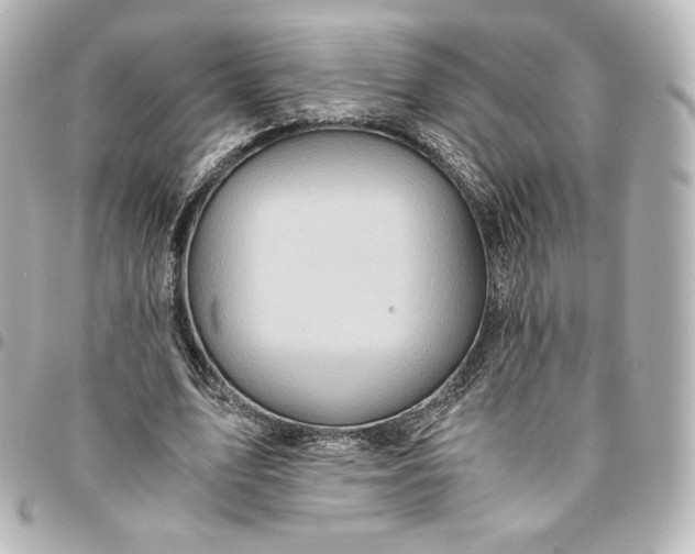 X0000095540583200712281546