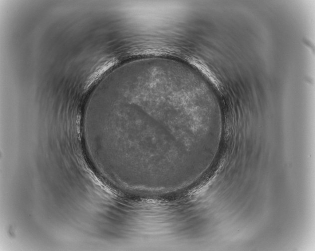 X0000095540585200712281546