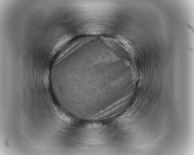 X0000095540586200712281546