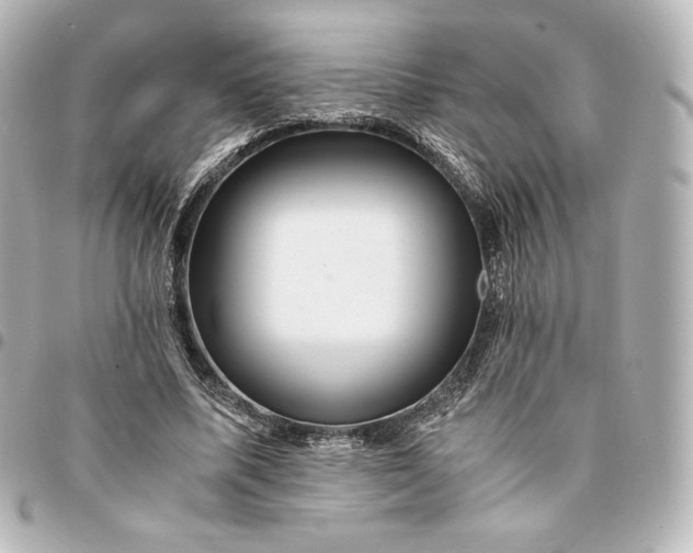 X0000095540587200712281546