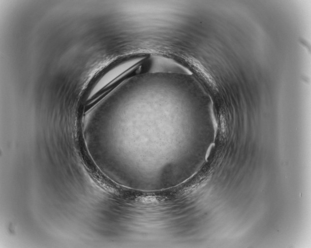 X0000095540588200712281546