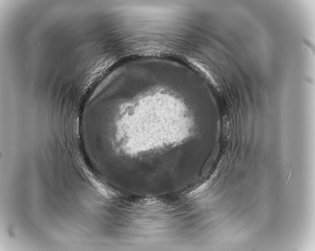 X0000095540589200712281546