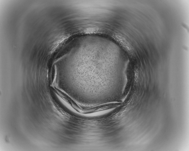 X0000095540592200712281546