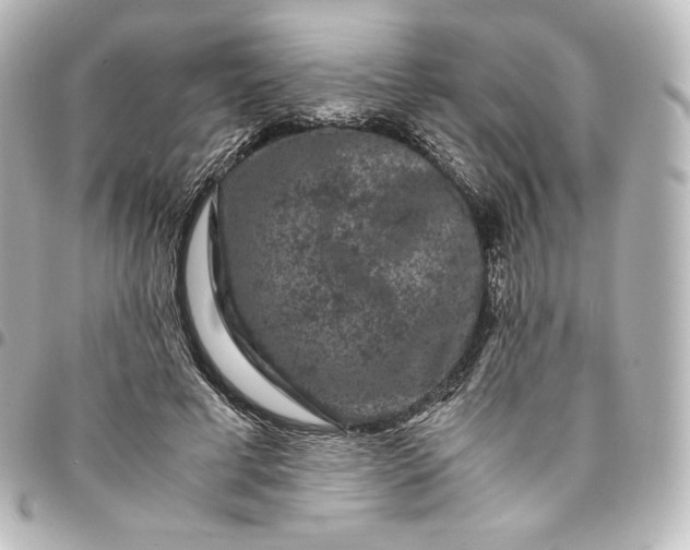 X0000095540593200712281546