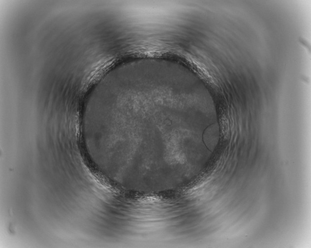 X0000095540594200712281546