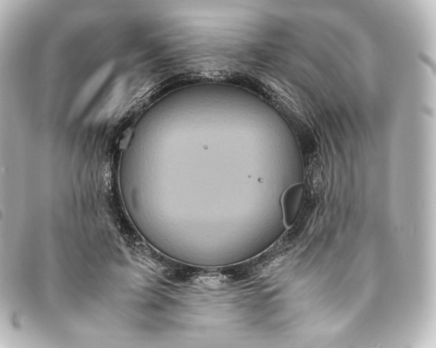 X0000095540595200712281546