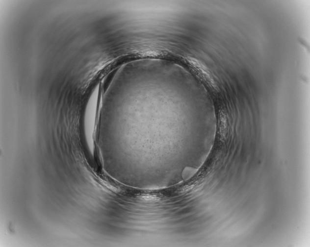 X0000095540596200712281546