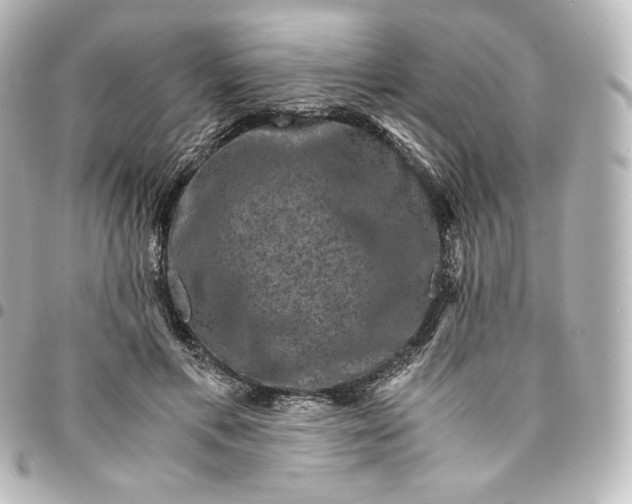 X0000095540597200712281546