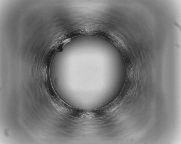 X0000095540599200712281546