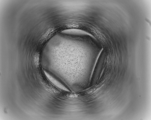 X0000095540600200712281546