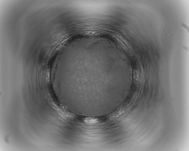 X0000095540602200712281546