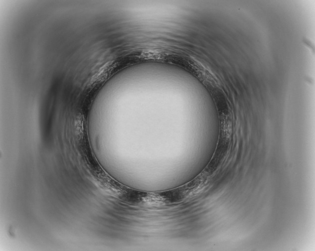 X0000095540603200712281546