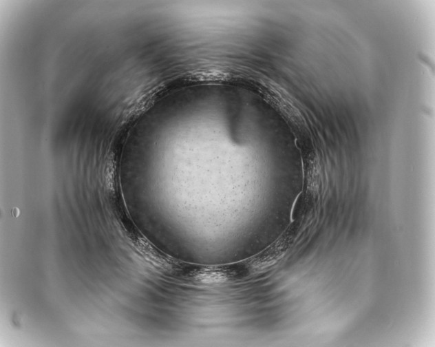 X0000095540604200712281546