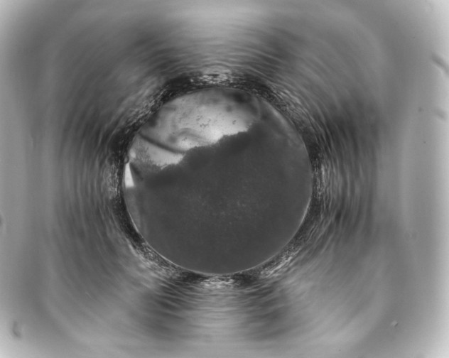 X0000095540606200712281546