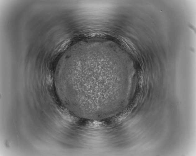 X0000095540607200712281546